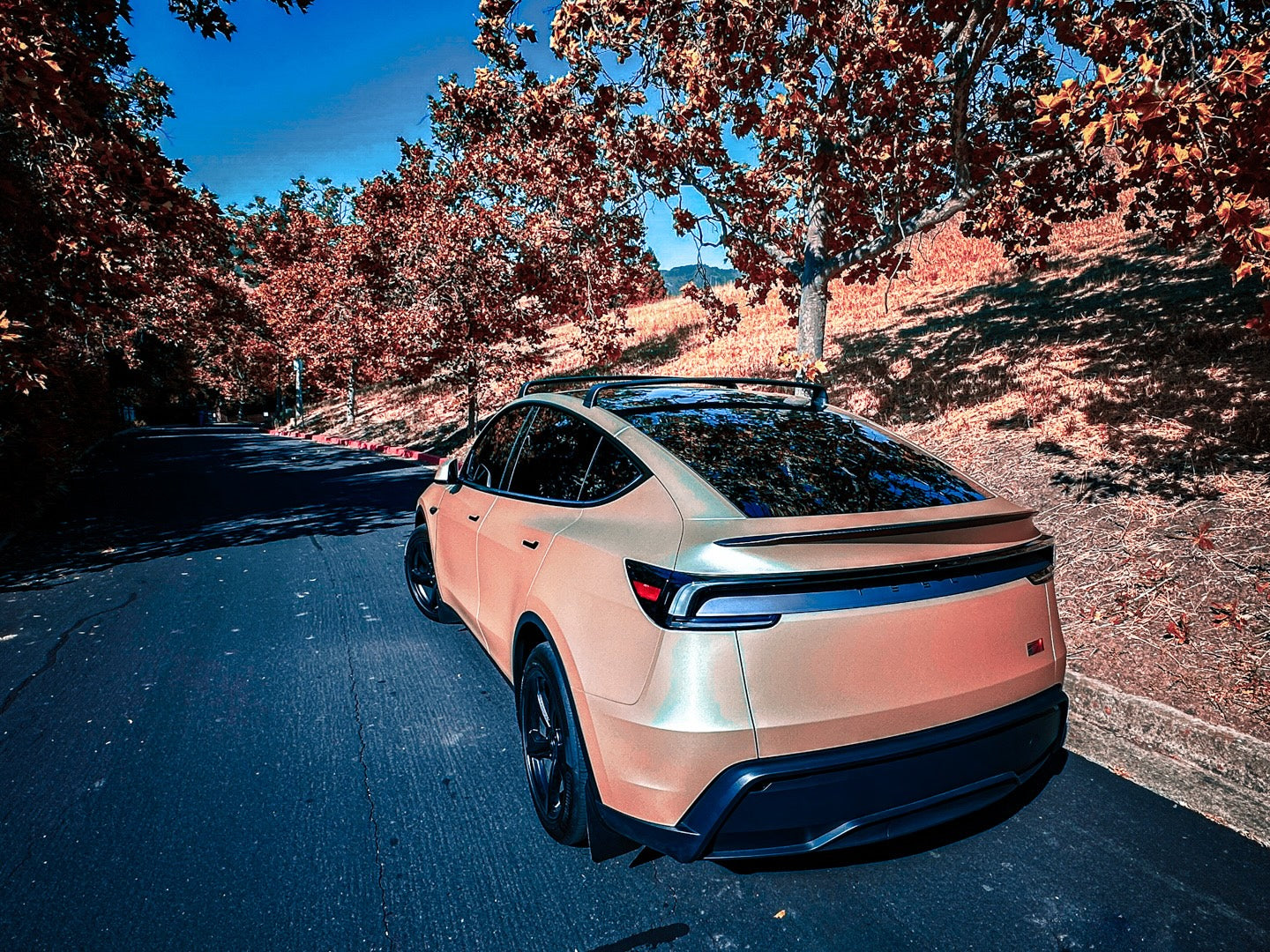 Tesla Accessories - Fall Back Savings