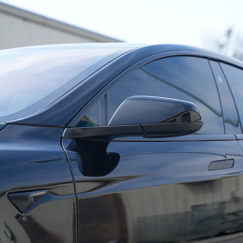 Tesla Model S Chrome Delete kit