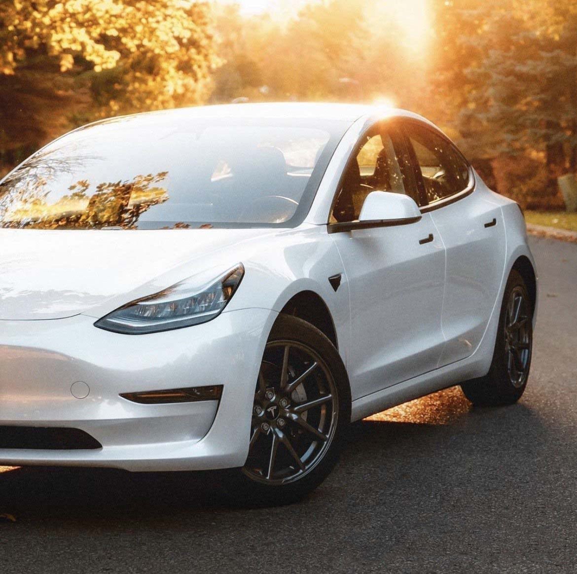 Tesla Model 3 Chrome Delete Kit