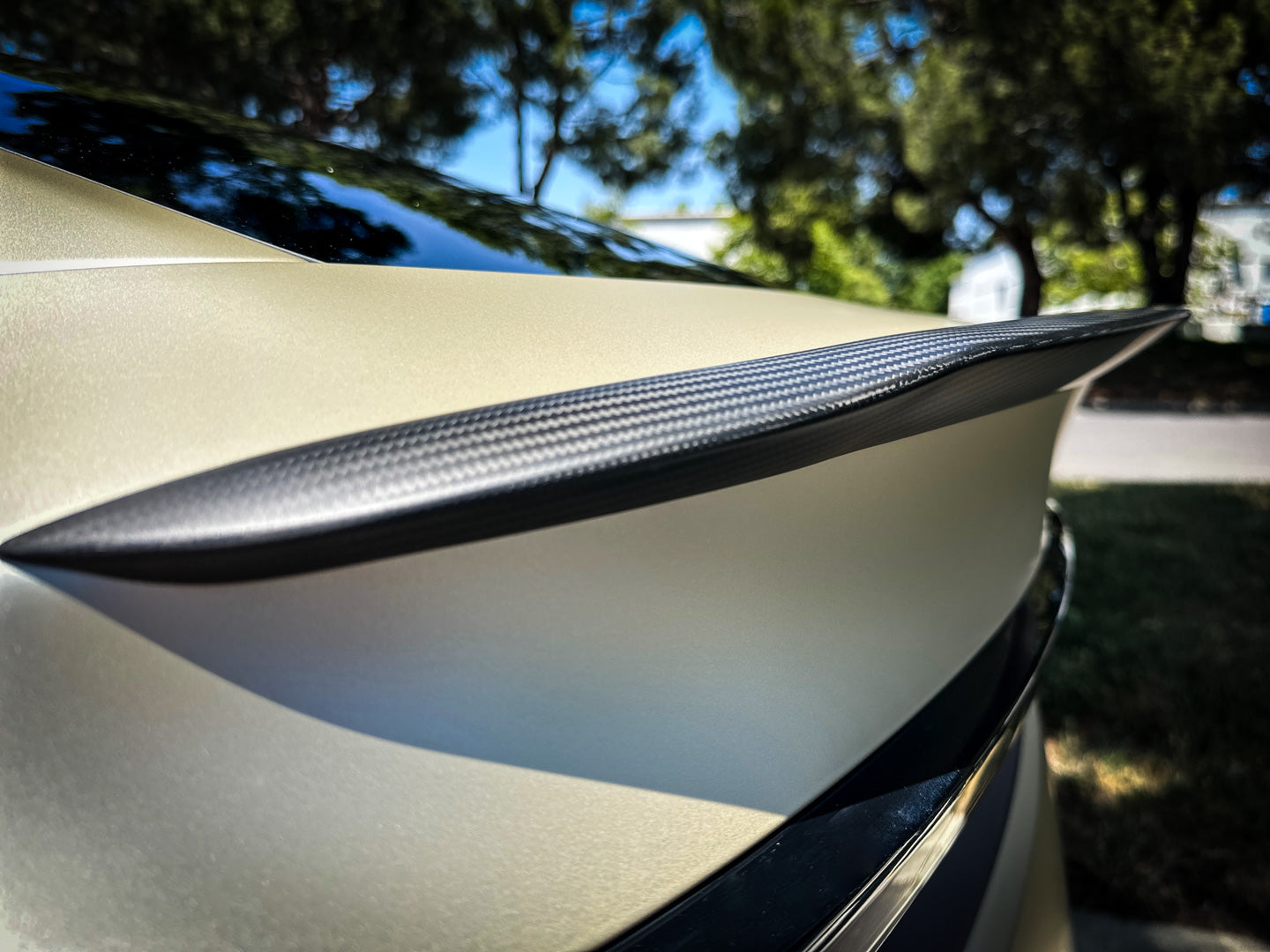 Tesla Model Y Genuine Carbon Fiber Performance Rear Spoiler
