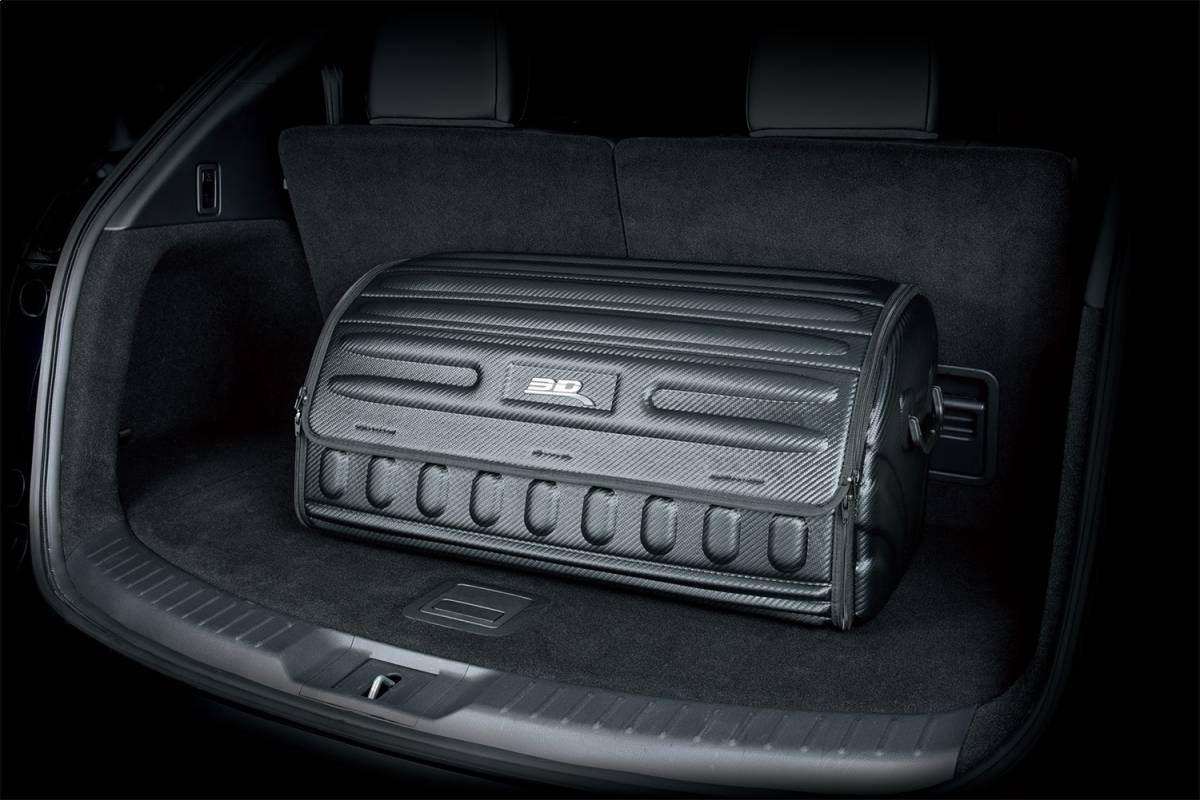 Collapsible 3D MAXpider Trunk Carrier for Tesla