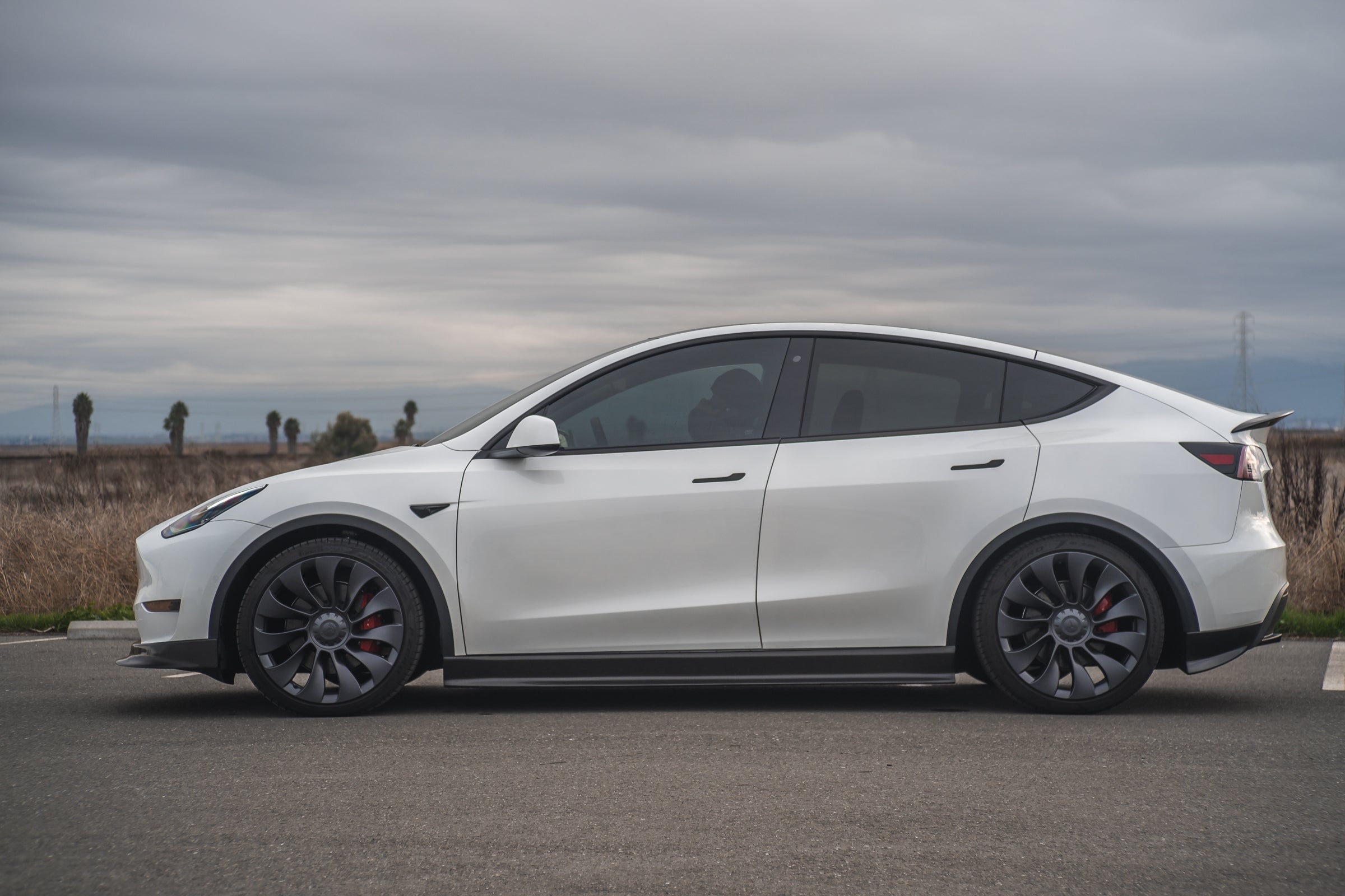 Tesla Model Y Carbon Fiber Side Skirt Extension
