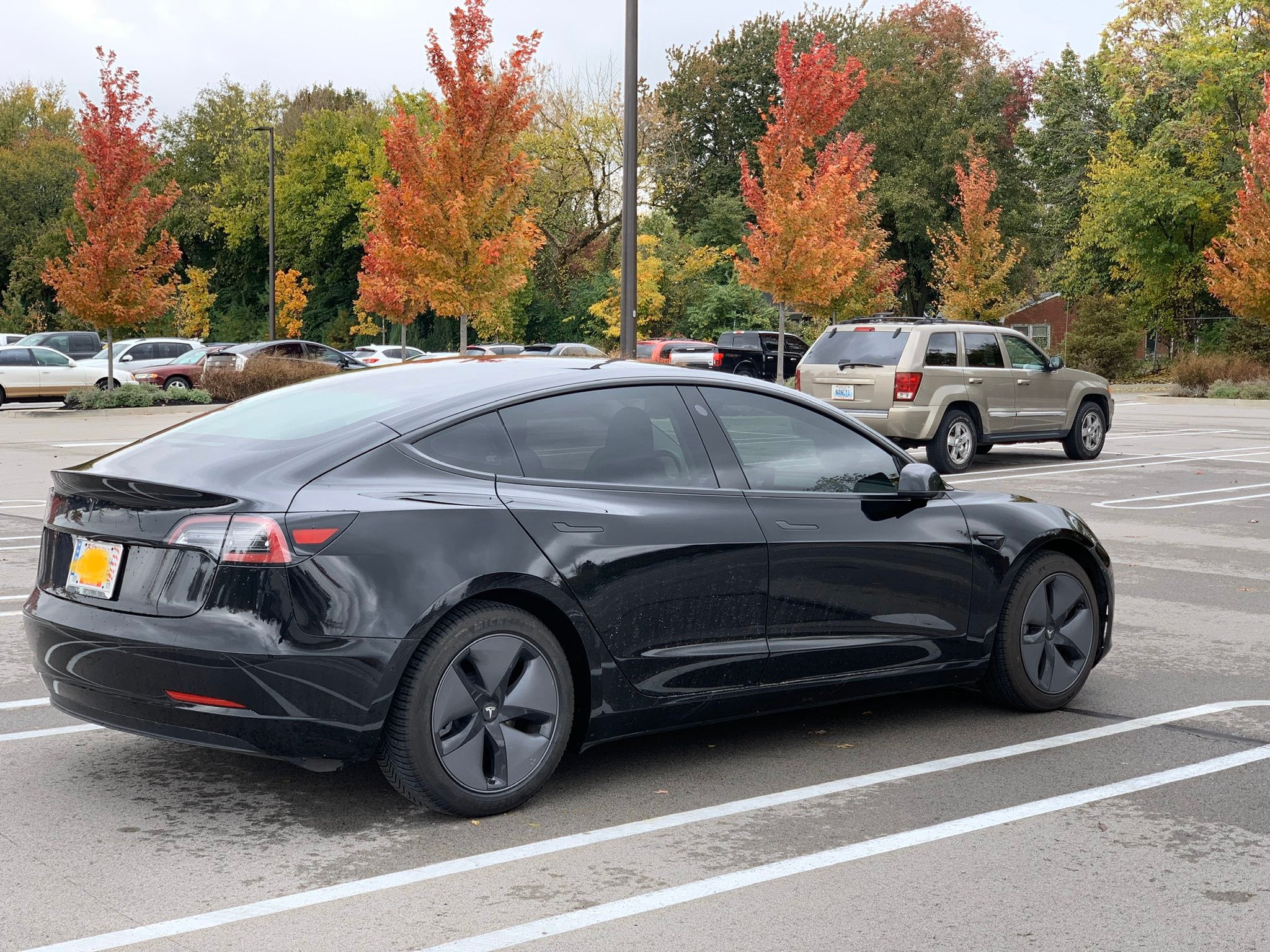 Tesla Model 3 Chrome Delete Kit (premium 3M)