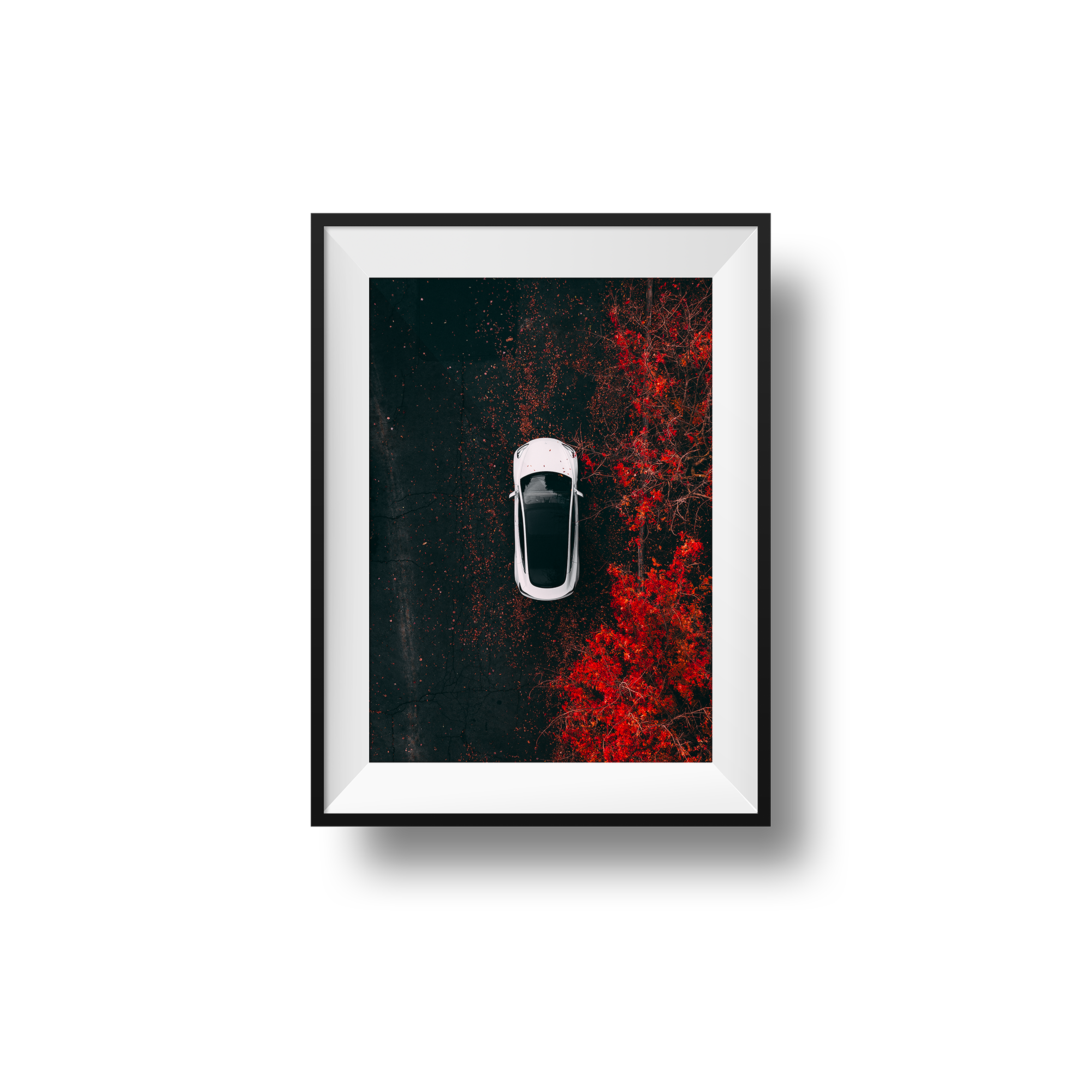 Tesla Model 3 photo - "Seasons" 16x20 print shown