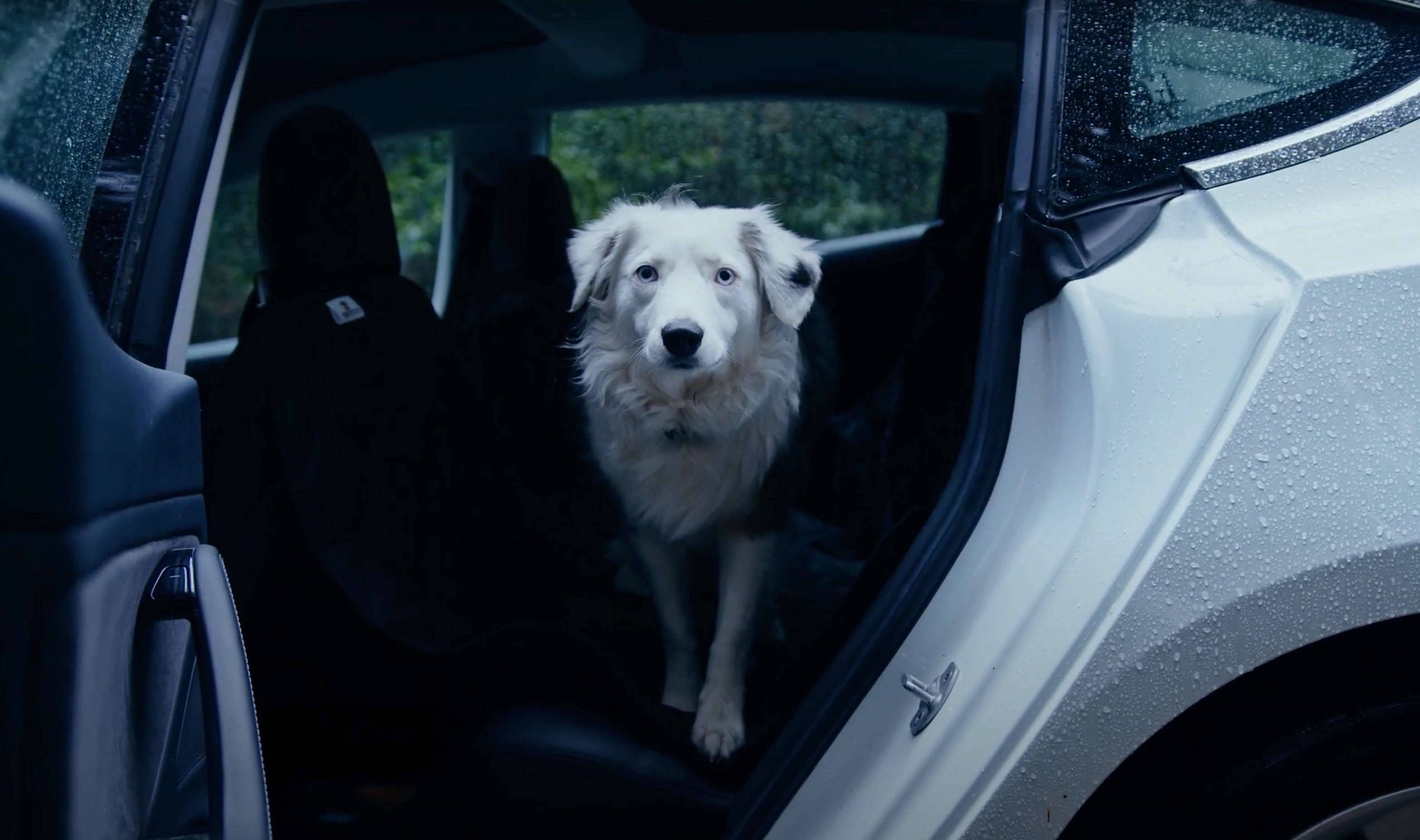 Premium Rear Seat Pet Cover for Tesla Model 3/Y and Model S/X