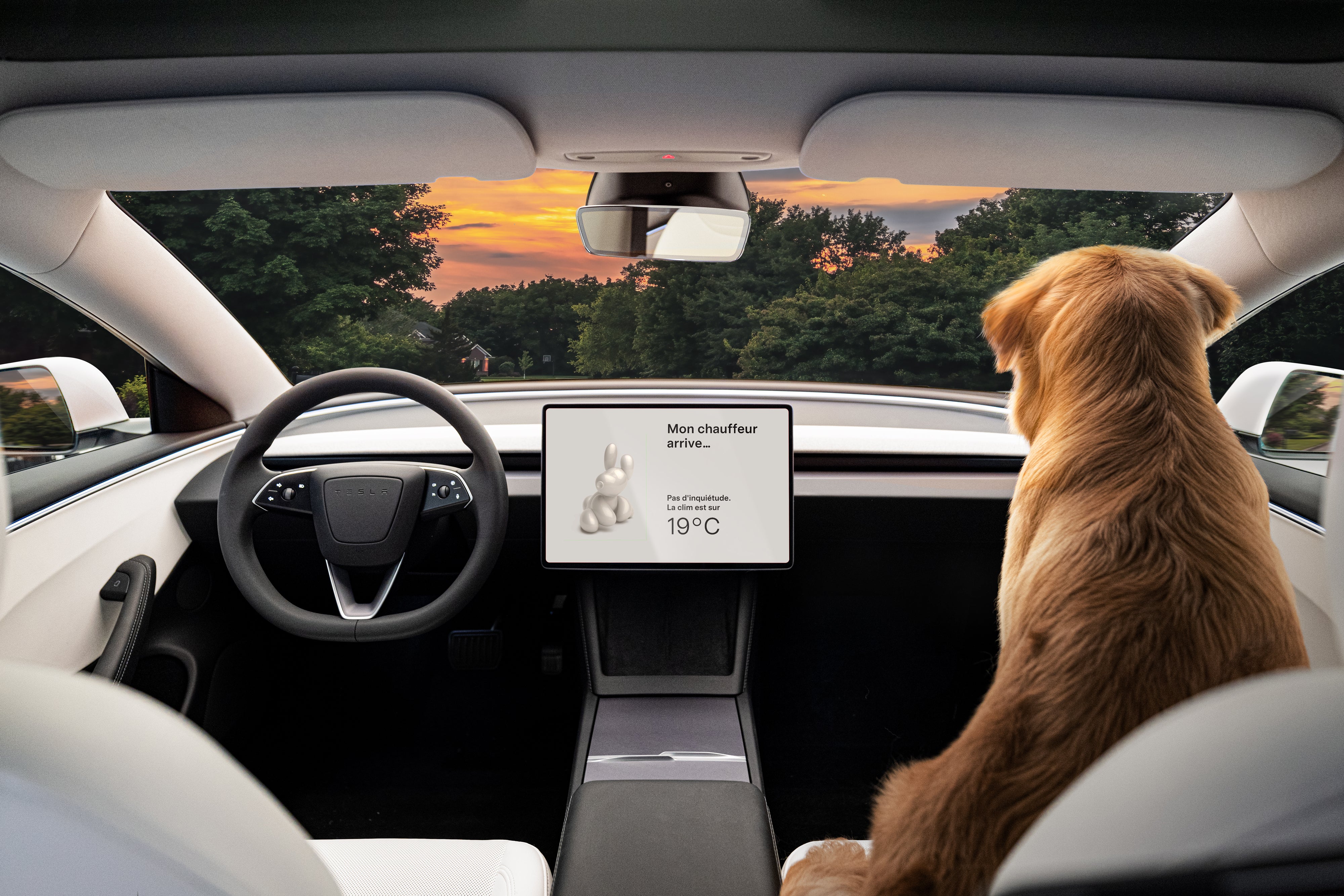 Tesla-car-accessories-dog-mode