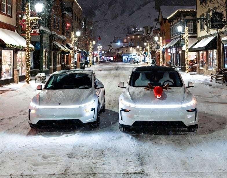 2025 Tesla Accessories Year End Sale