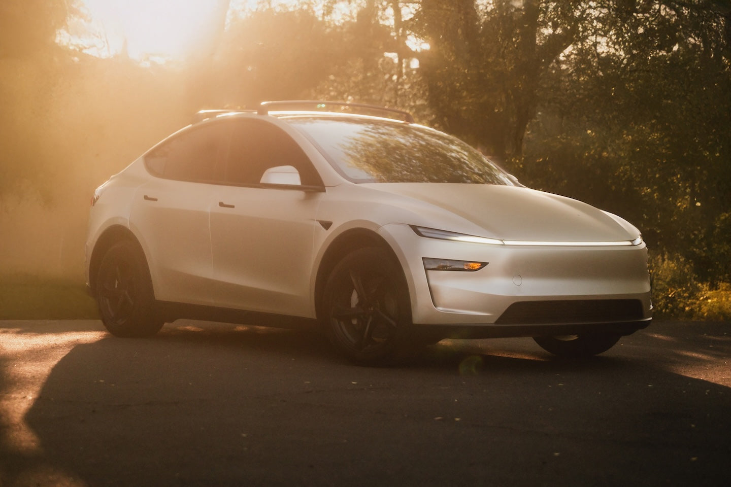 Tesla Model Y Roof Rack Crossbars System