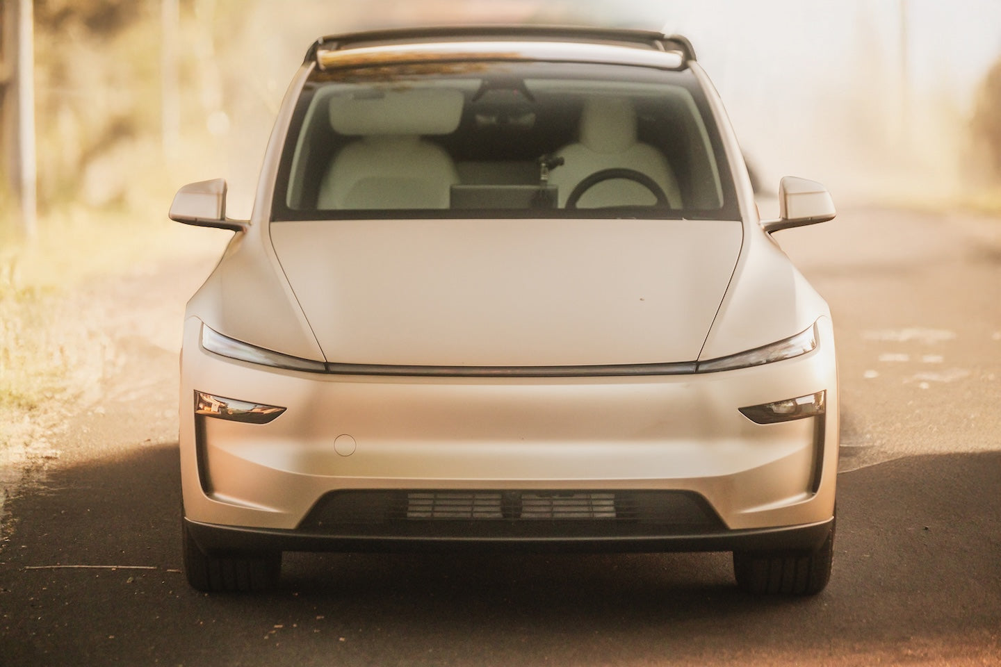 Tesla Model Y Roof Rack Crossbars System