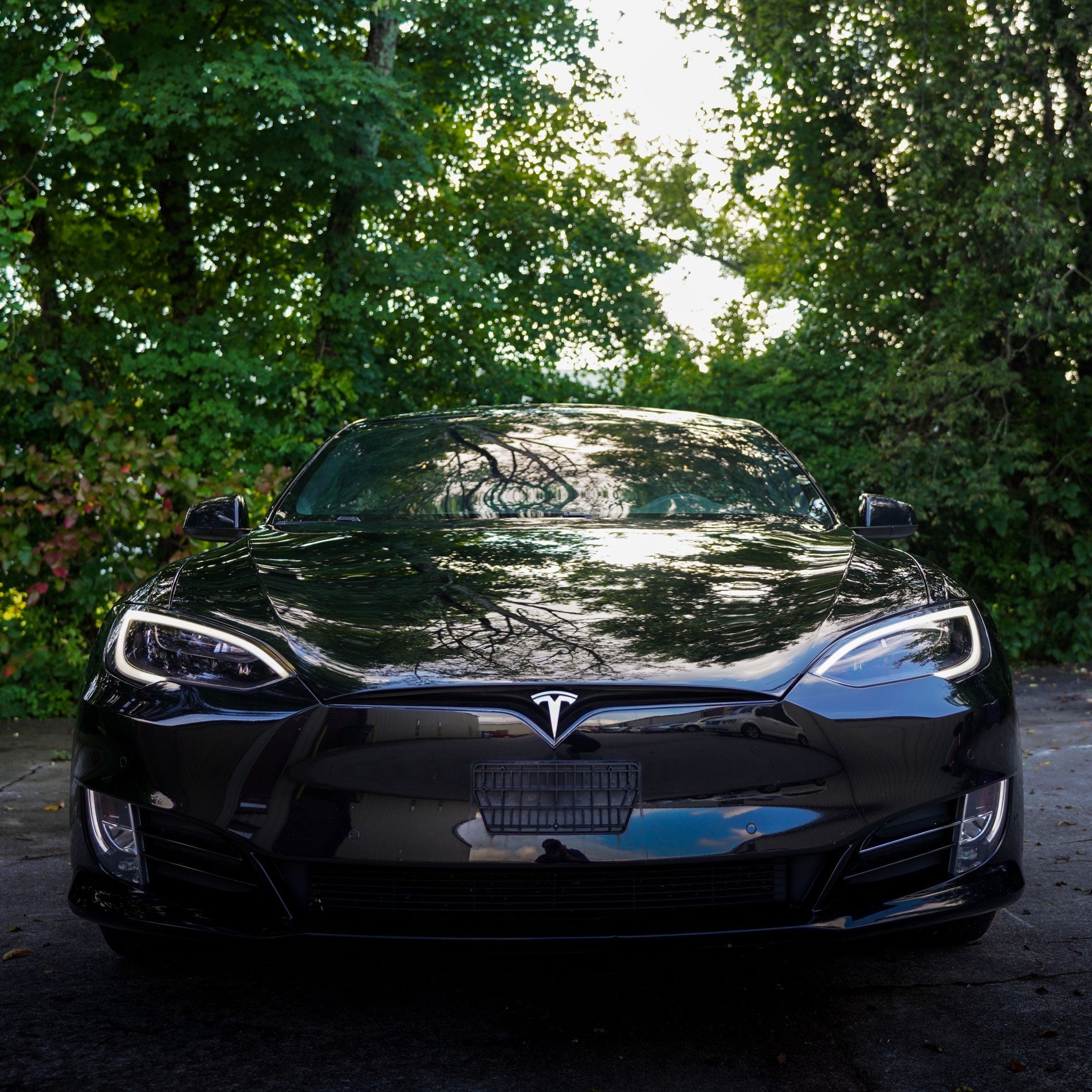 Tinted Headlight and Foglight Protection - PPF for Model S