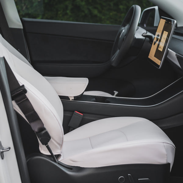 TAPTES Premium Leather Car Seat Back Organizer for Tesla Model S/3