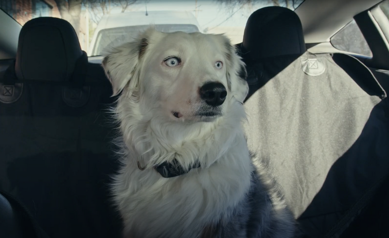 Pet Dog Rear Back Seat Cover Blanket Hammock Protector for Tesla Model 3 S  X Y